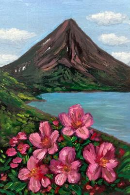 ����� �� ���� ������� ���������� ������ ������ (������� �� ���). �������� ���������