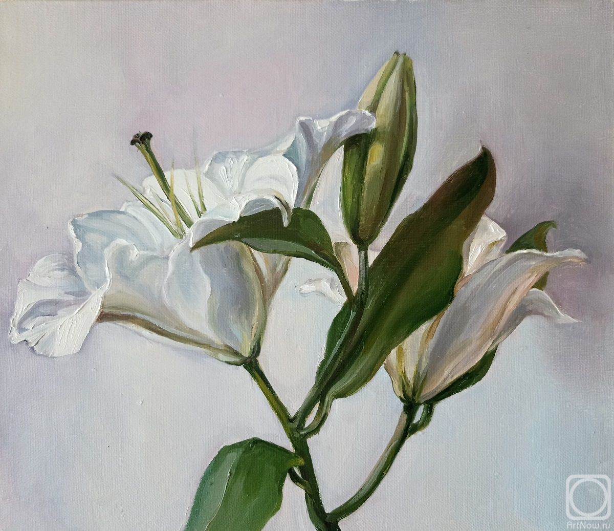 ������� ������ �� ������. ������� �������. ����� ����� �� �� �.��������