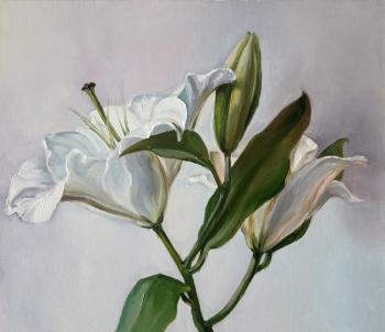 ������� ������ ����� �� �� �.��������