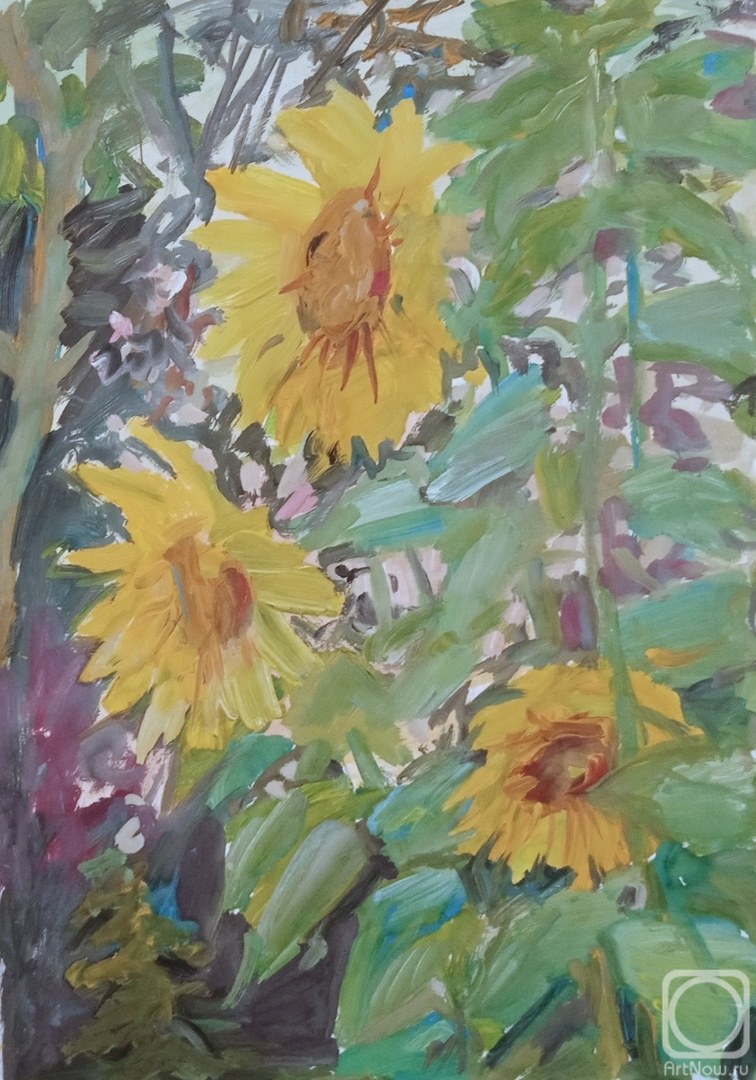 �������. �������� ������. ������ �����