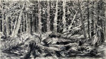 Windbreaker. Borisov Mikhail