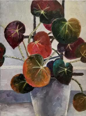 �������. ��������� �����