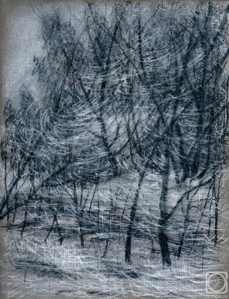 Abaimov Vladimir. The Blizzard