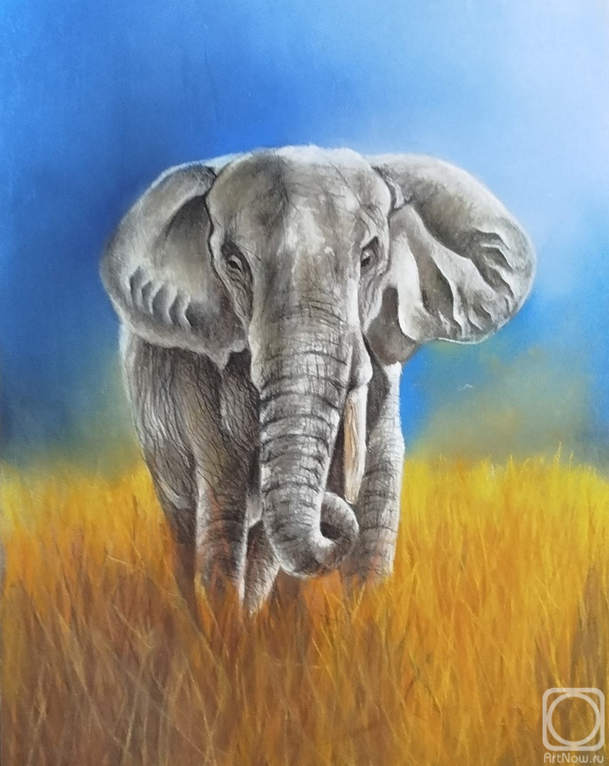 �������. ��������� ���������. ����