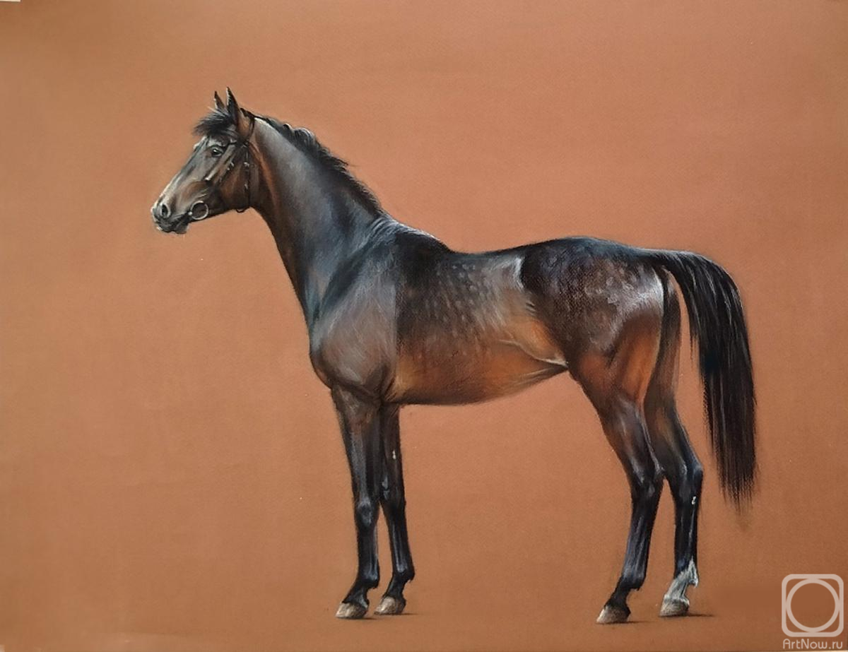 �������. ��������� ���������. ������������ ������� ������