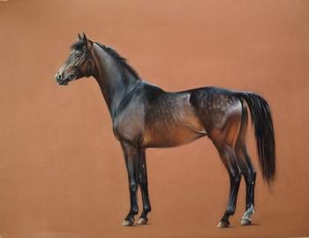 Horse portrait (Equine Art). Kuznetsova Anastasiya