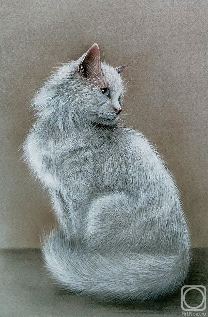 �������. ��������� ���������. �������� ����