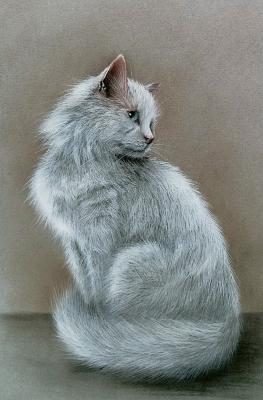 ������� ��������� ����