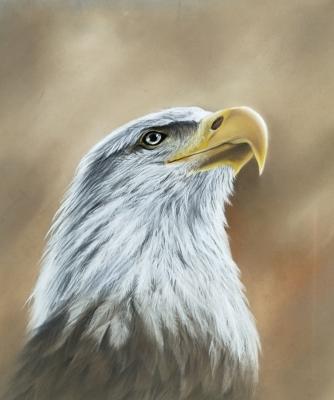 ����������� �����. ��������� ���������