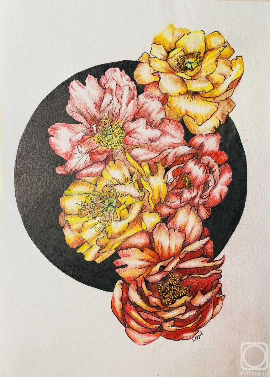 �������. ������ ������. �����