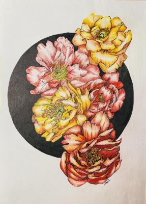 ������� �������