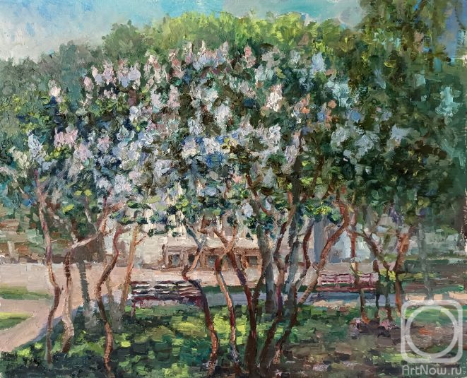 �������. ��������� ������. ������ � ������