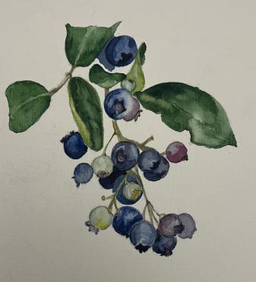 ����� � ������� ��������. ����������� �������