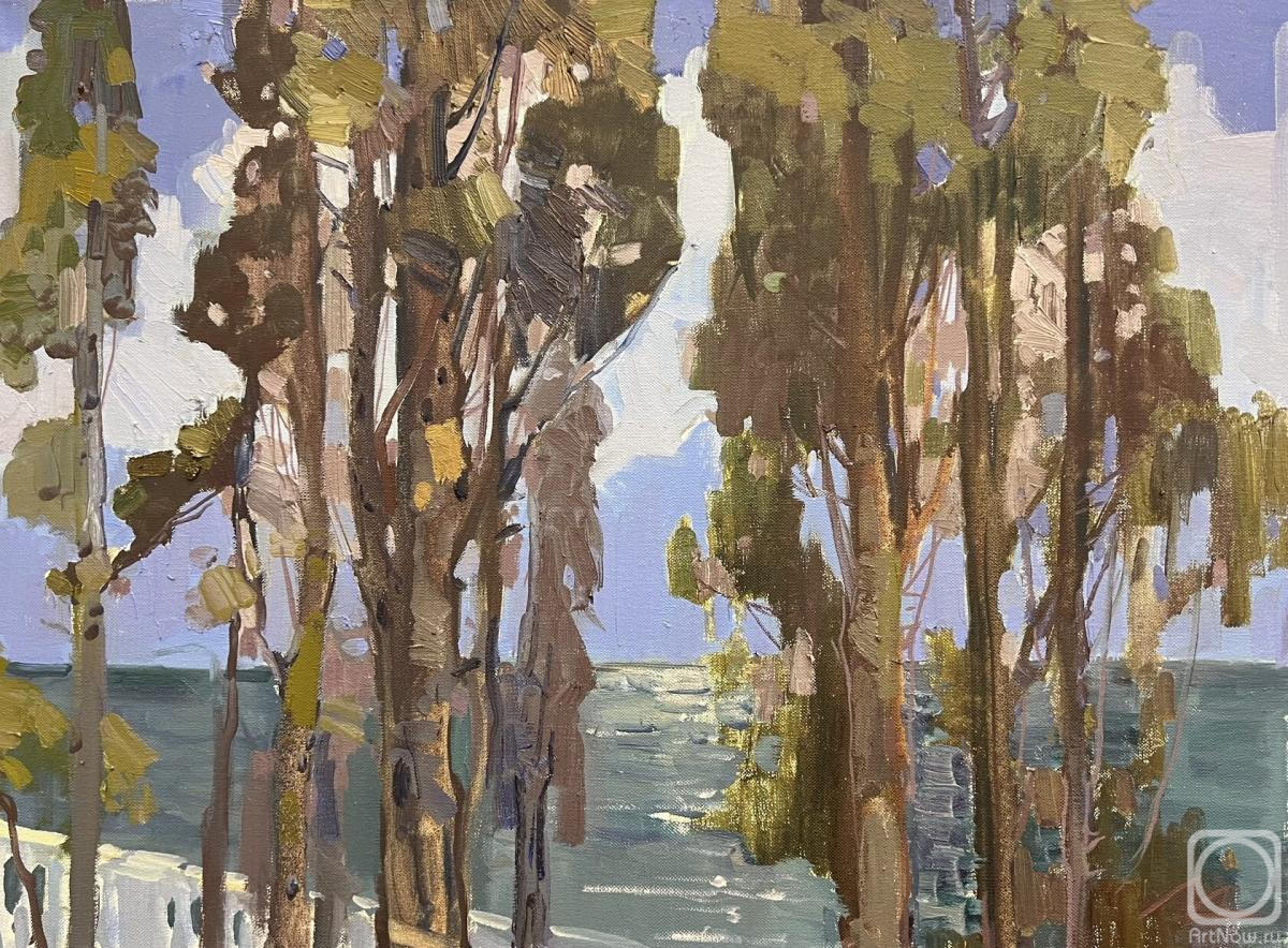 ������� ������ �� ������. ���������-�������� �����. ���� �������, ������