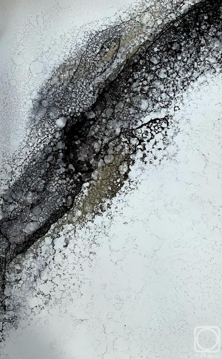 ���� ���������. ���������� �������������