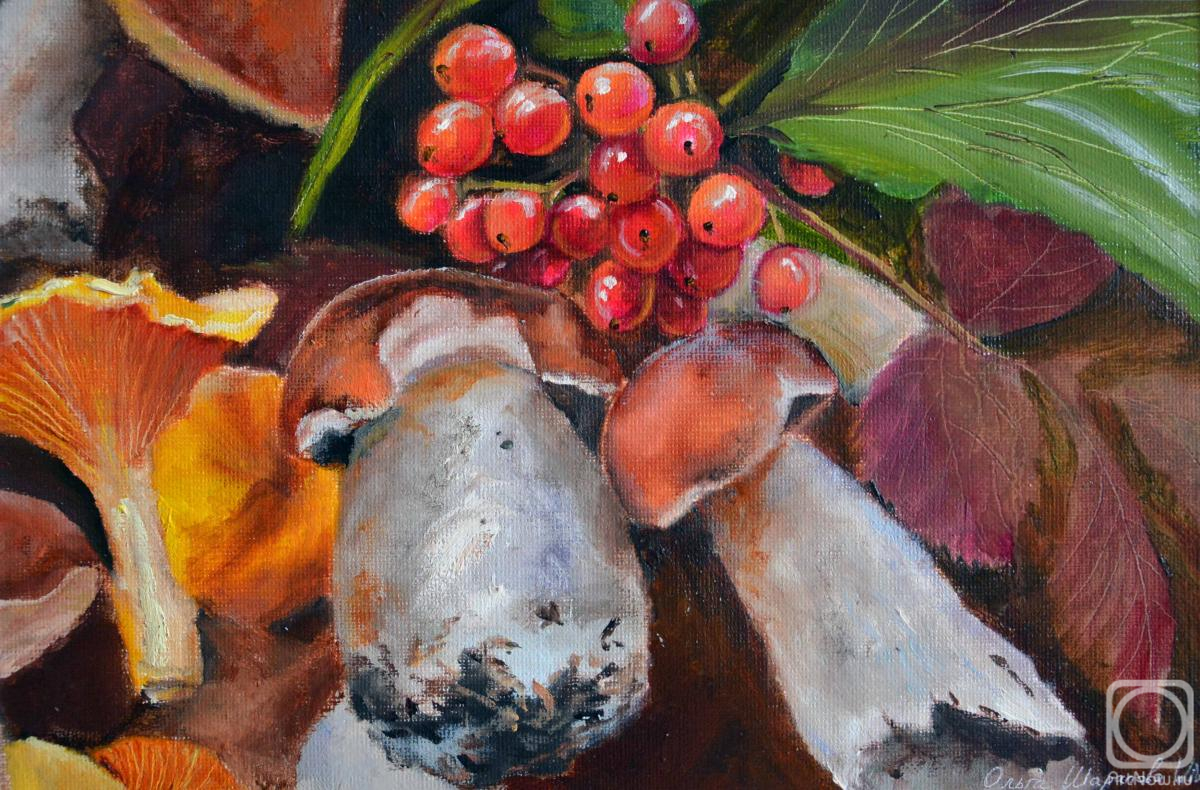 �������. �������� �����. ��������� � ������� � �������