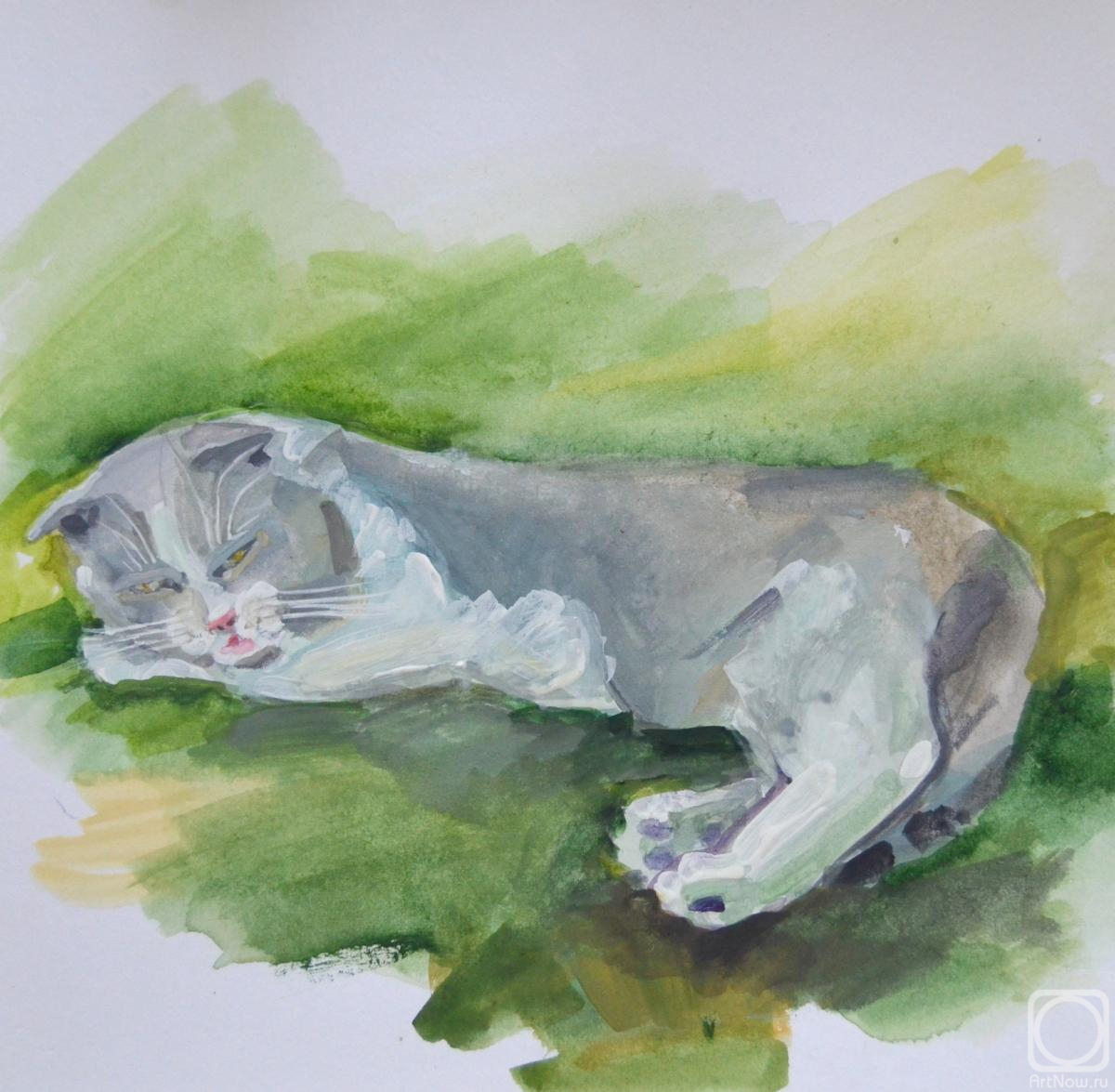 �������. ������� ����. ������ �����