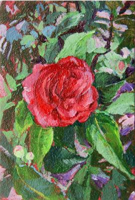 ������� �������. �������� ����