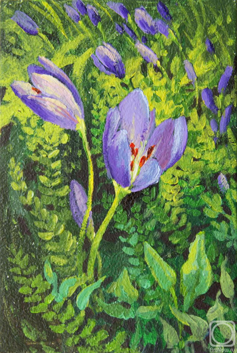 �������. �������� ����. ������ ������