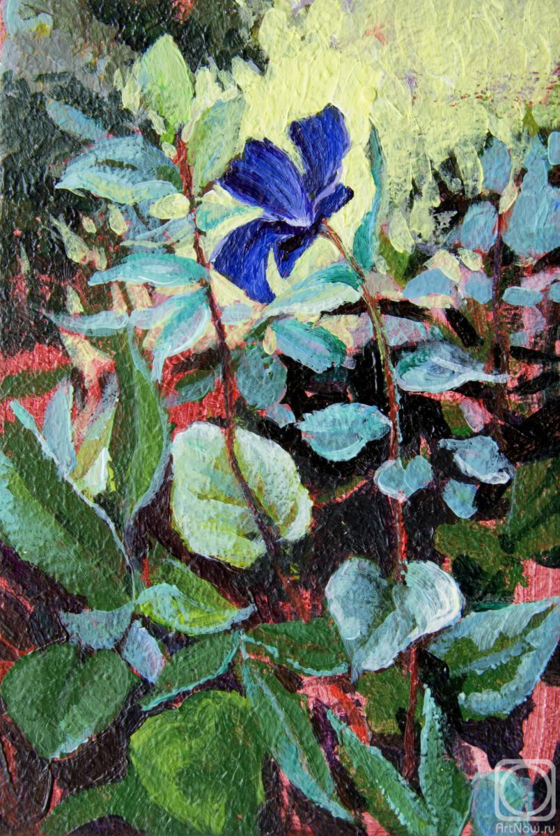 �������. �������� ����. ������ �����