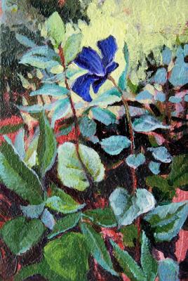 ������� ������� ������