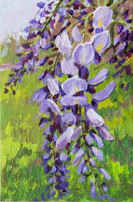 ������� ������ ��������