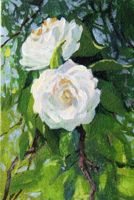 ����� �������. �������� ����