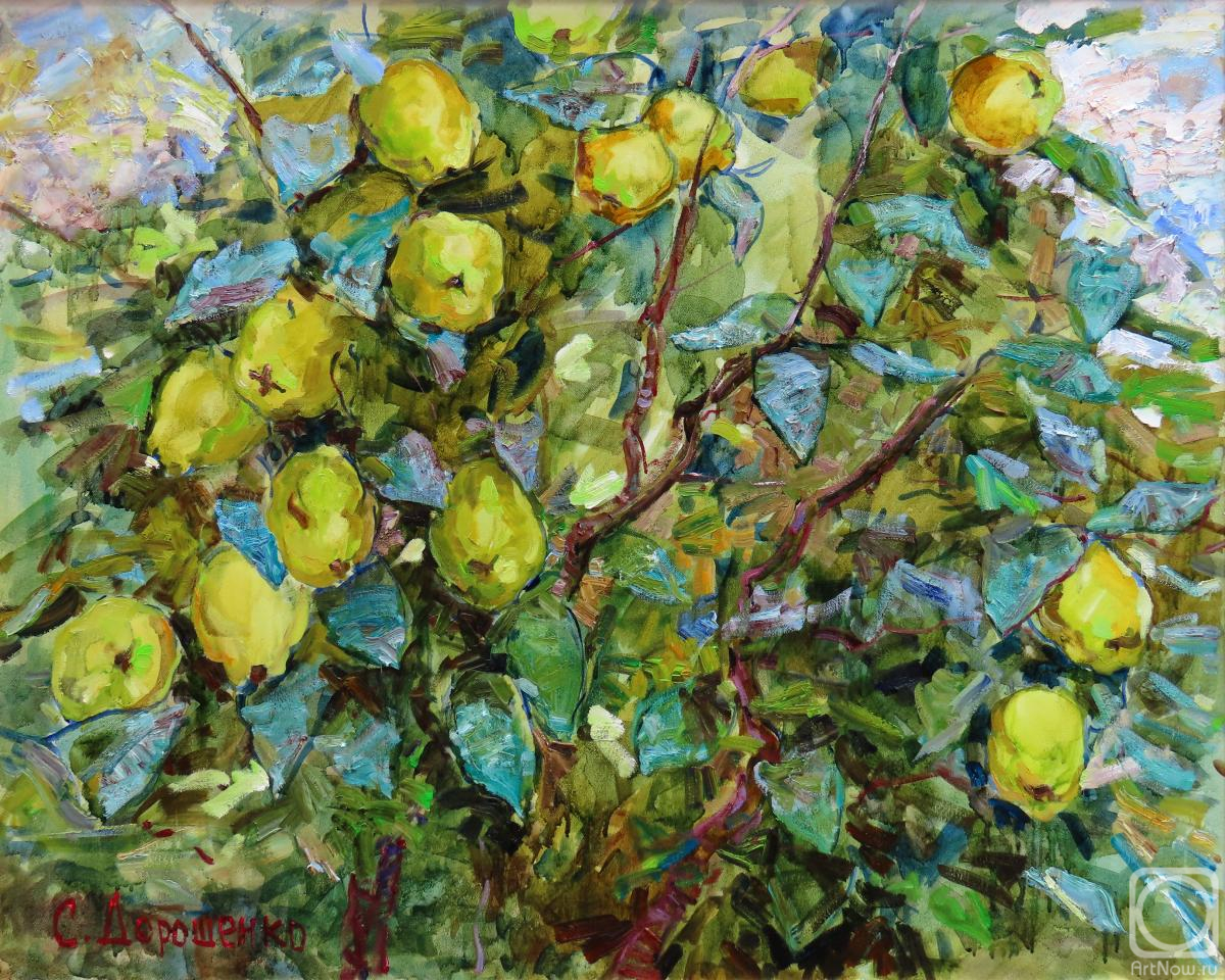 ������� ������ �� ������. ��������� ��������. ������� �����