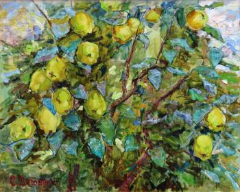 Untitled. Doroshenko Svetlana