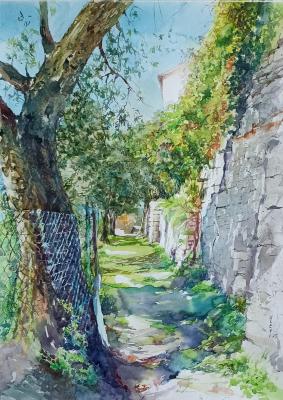 ��������. ������ ��������