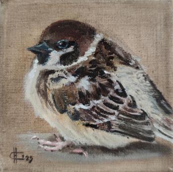 �������, ���������. ������ �������