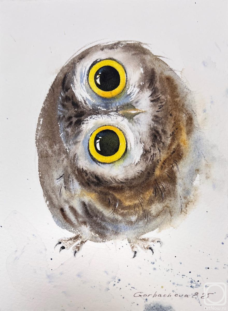 �������. ��������� �������. �������. ����� ���������