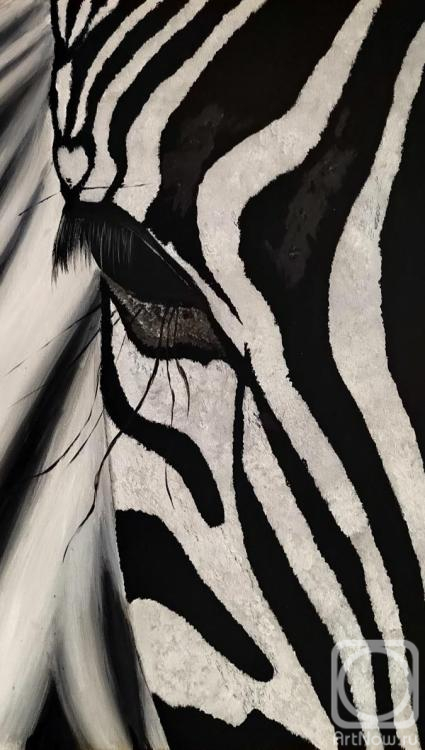 �������� ����. �����