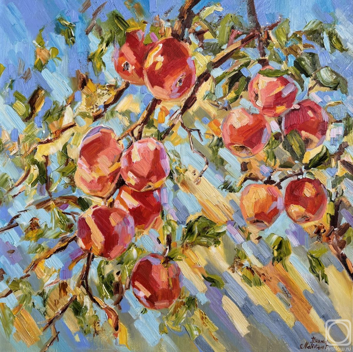 Malivani Diana. Les pommes sous le soleil