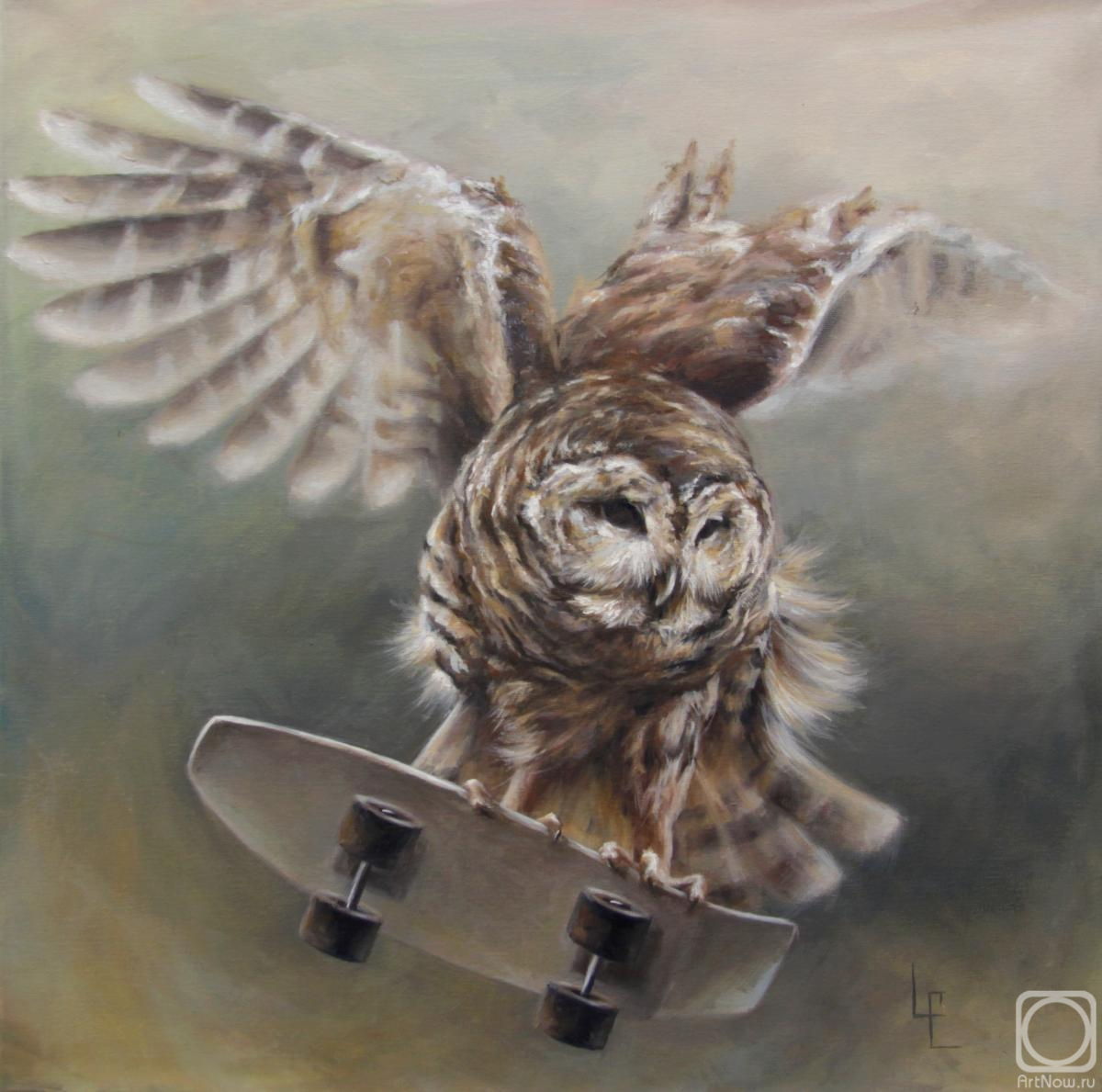 ������� ������ �� ������. ������ ���������. ���� �� ������