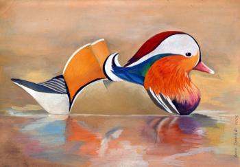 ������� �����������