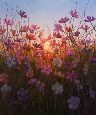 Untitled. Kim Anatoliy
