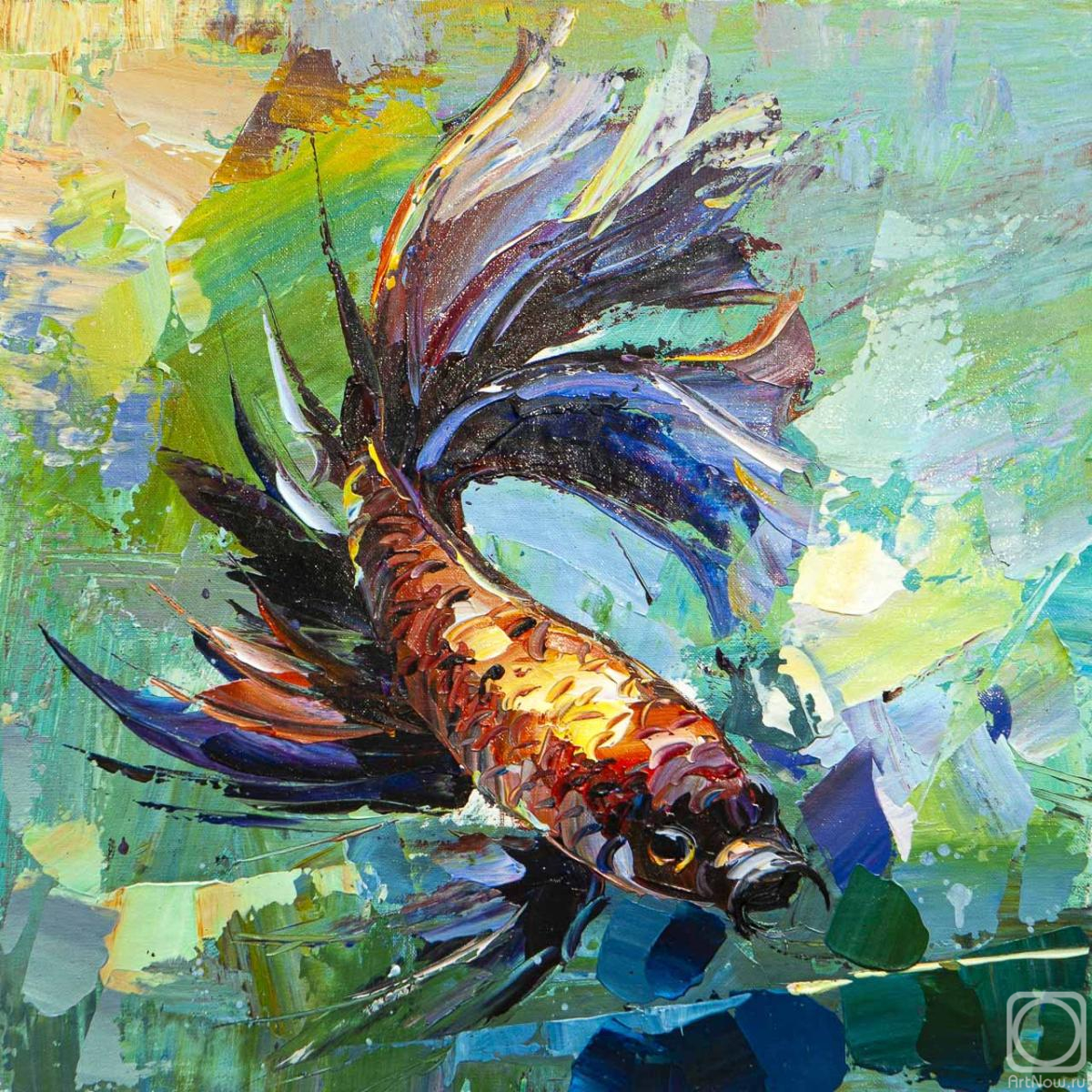 Rodries Jose. Betta Fish