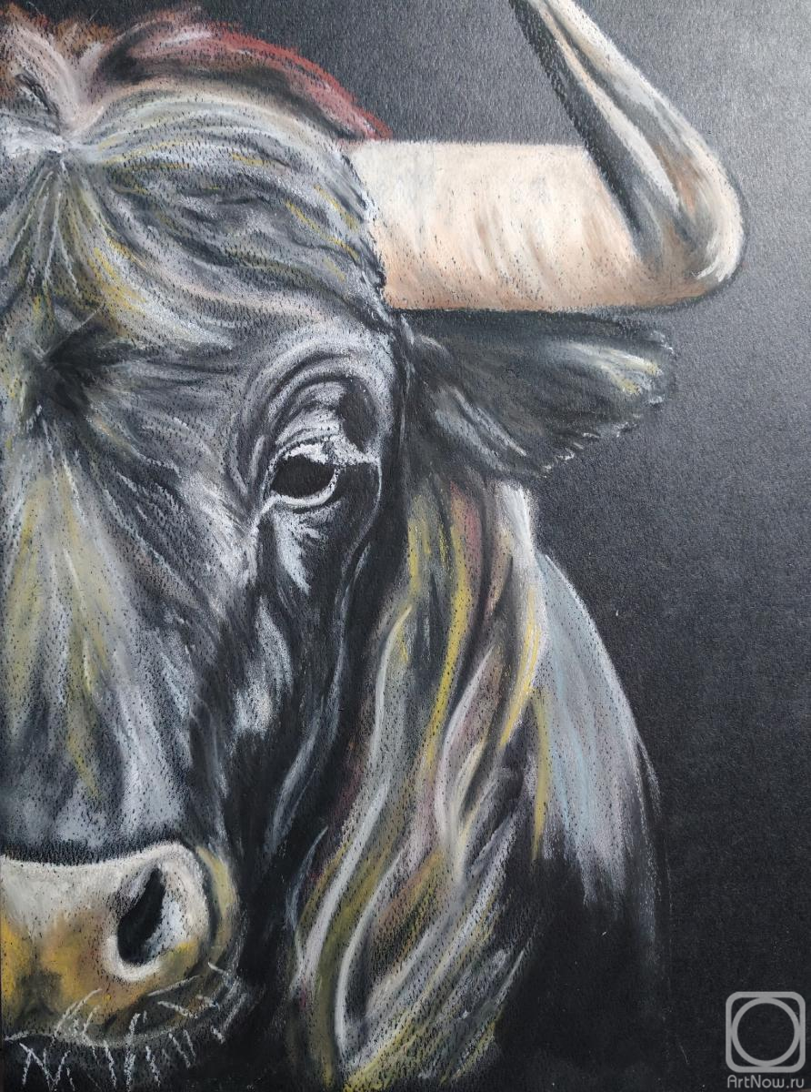 �������. �������� ���������. ���������