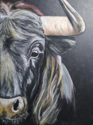 ���������. �������� ���������