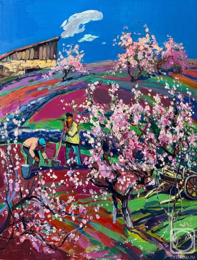 ������� ������ �� ������. ������� ����. �������� ���