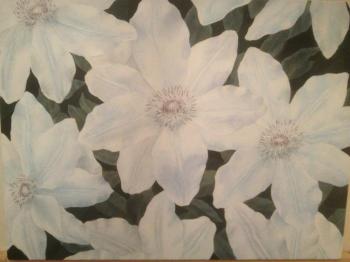 �����. ������ ������