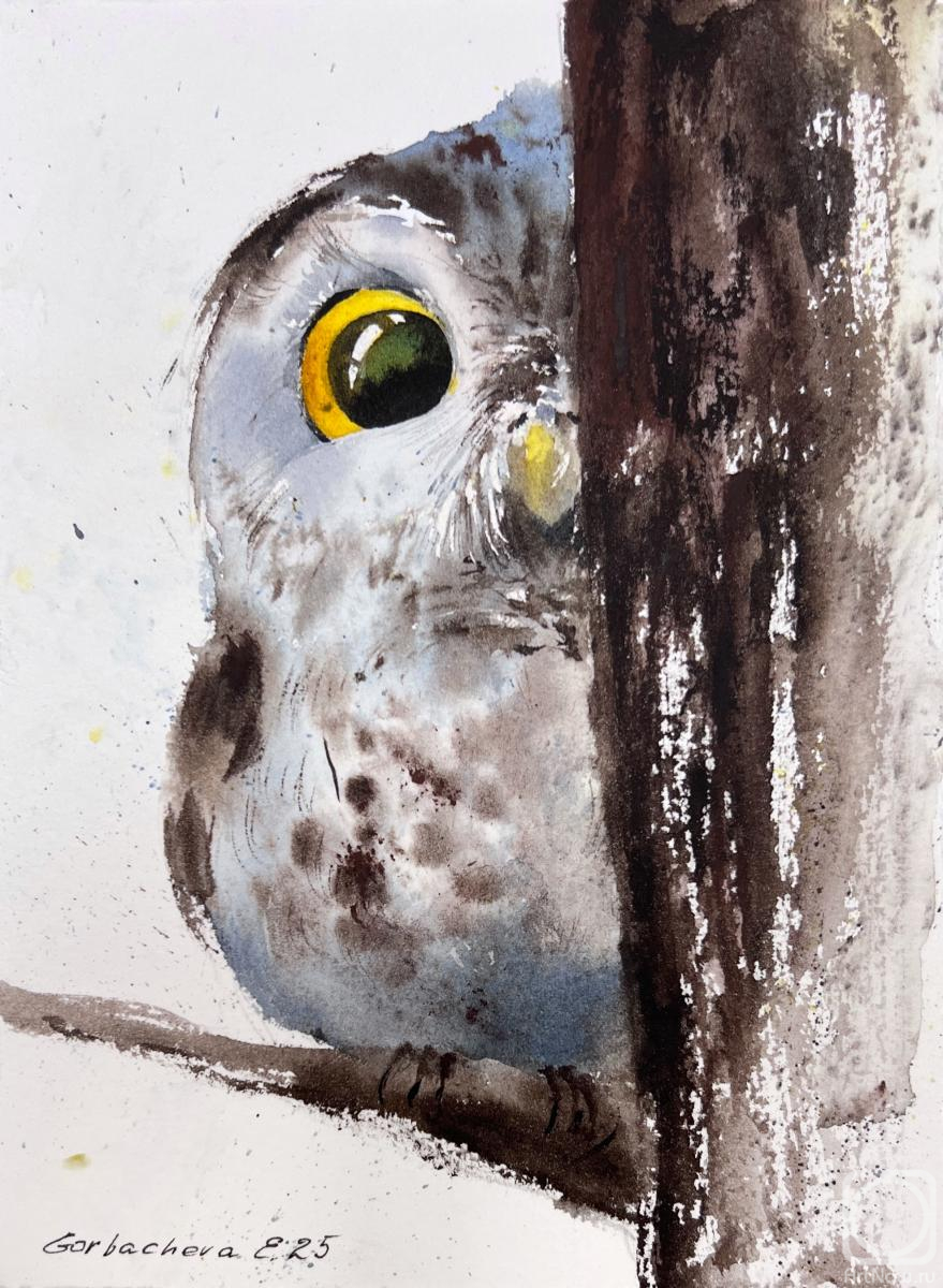 �������. ��������� �������. ���� � ������