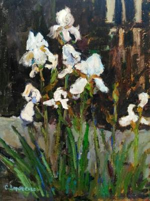 ����� �����. ��������� ��������