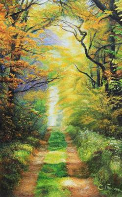 The road to the forest