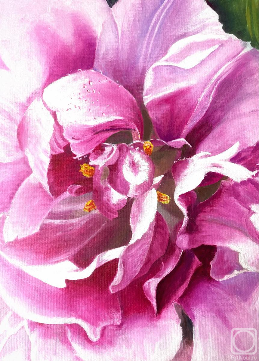 ������� ������ �� ������. �������� �������. �������