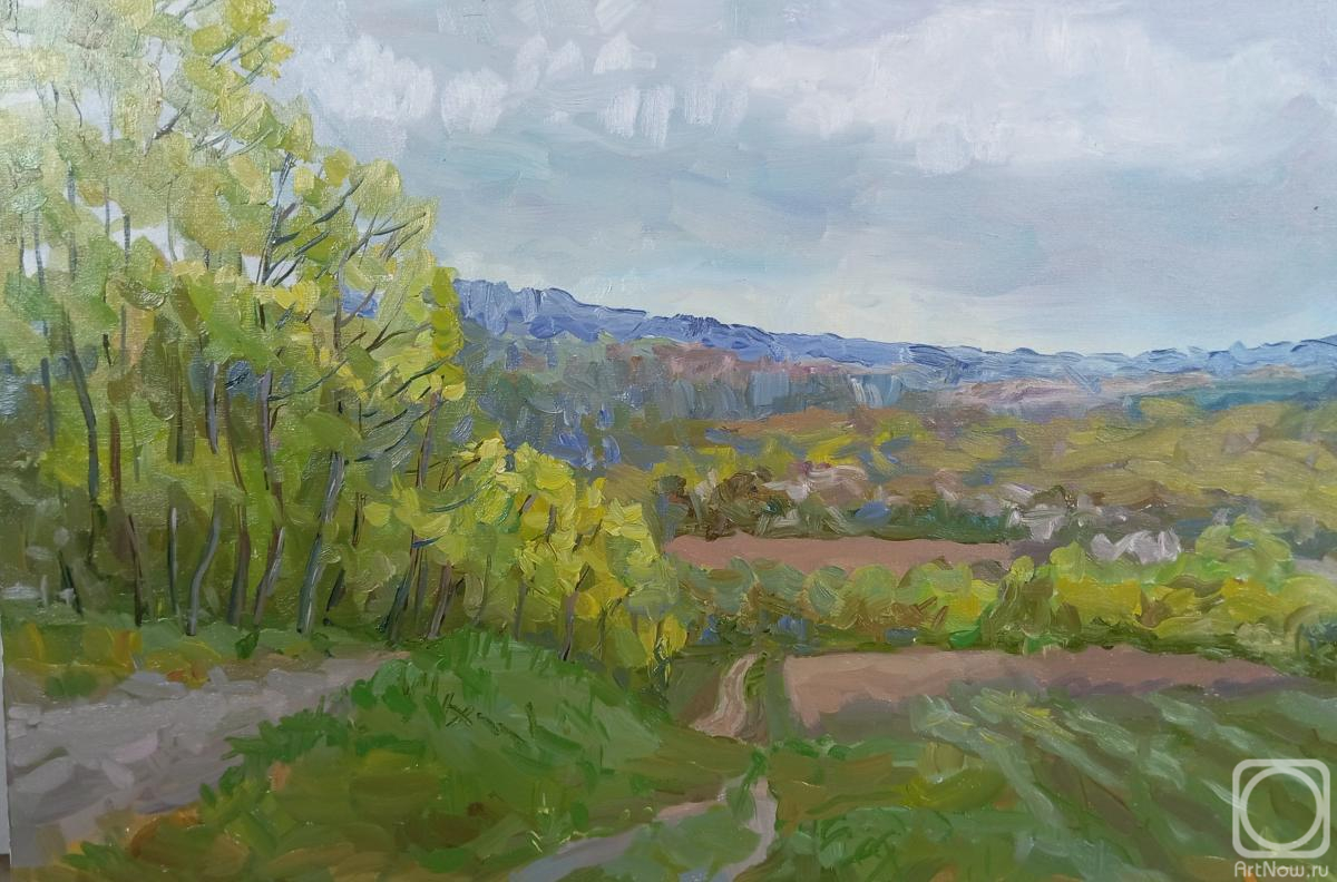 ������� ������ �� ������. ��������� ����. ������� ����������� ���������. �����