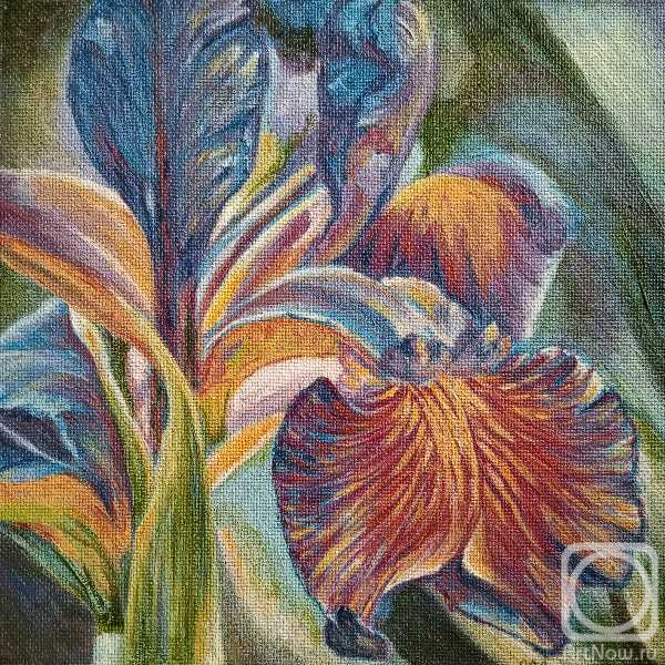 �������. �������� �����. �����