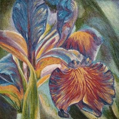 ������� �������