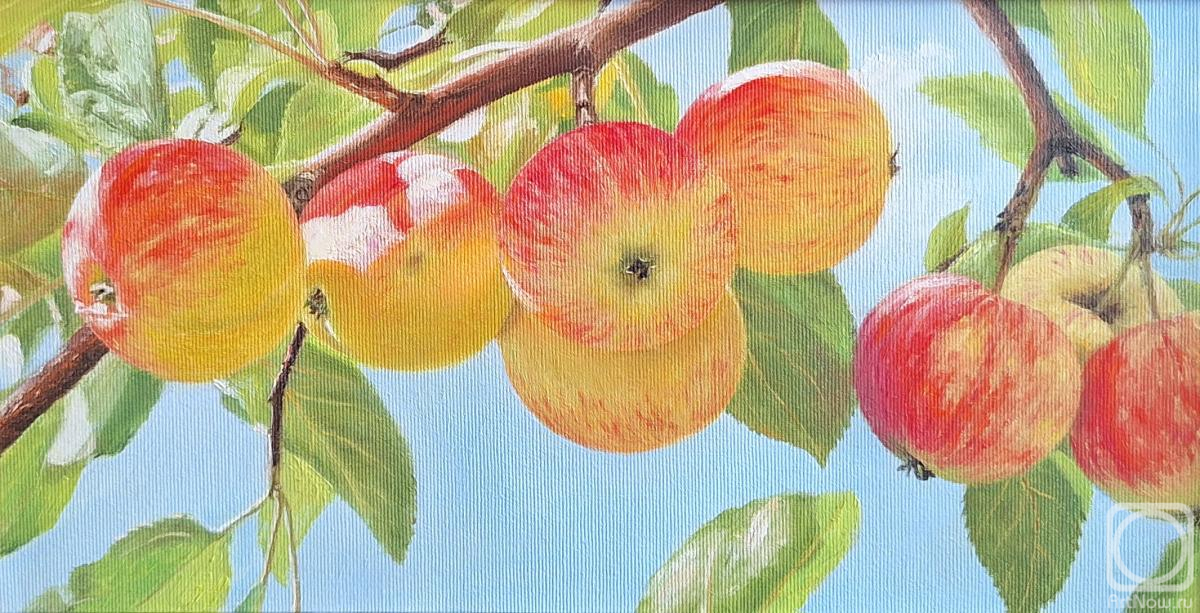 ������� ������ �� ������. ��������� ��������. �������